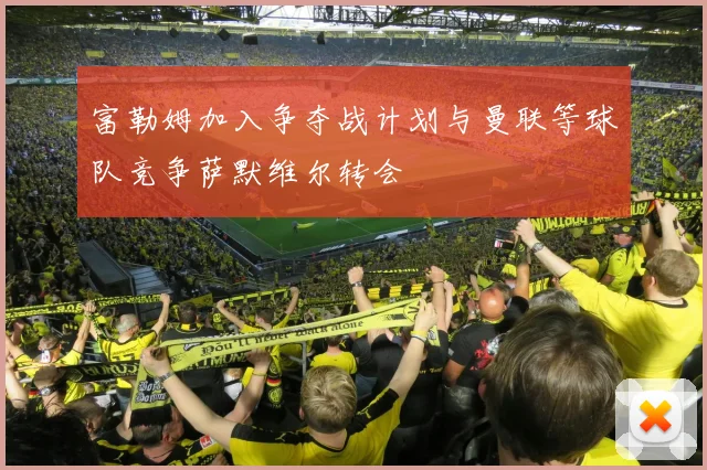 富勒姆加入争夺战计划与曼联等球队竞争萨默维尔转会